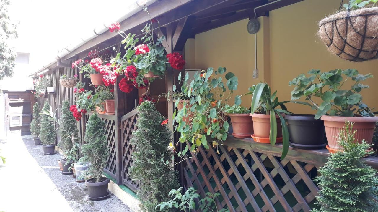 Villa Casa Ioana Brasov Exterior photo