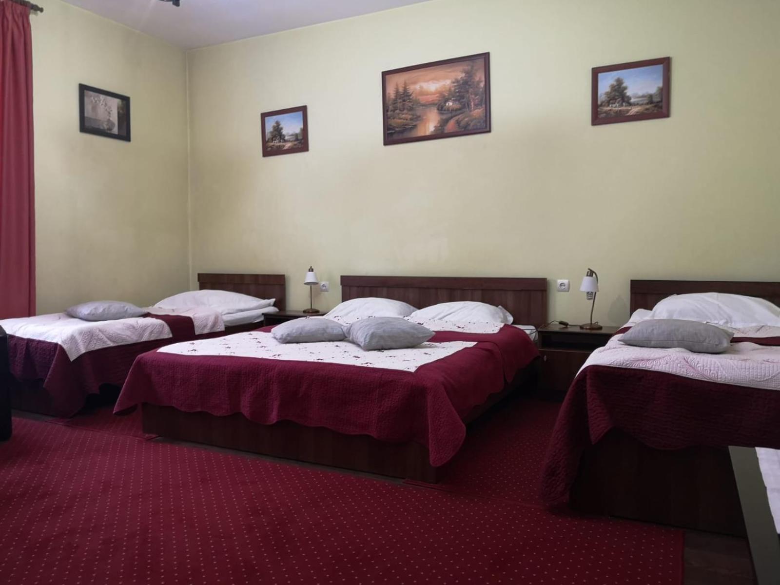 Villa Casa Ioana Brasov Room photo